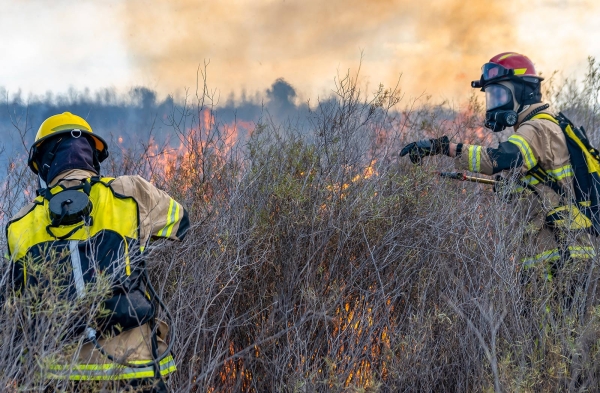 戍邊與森林防火